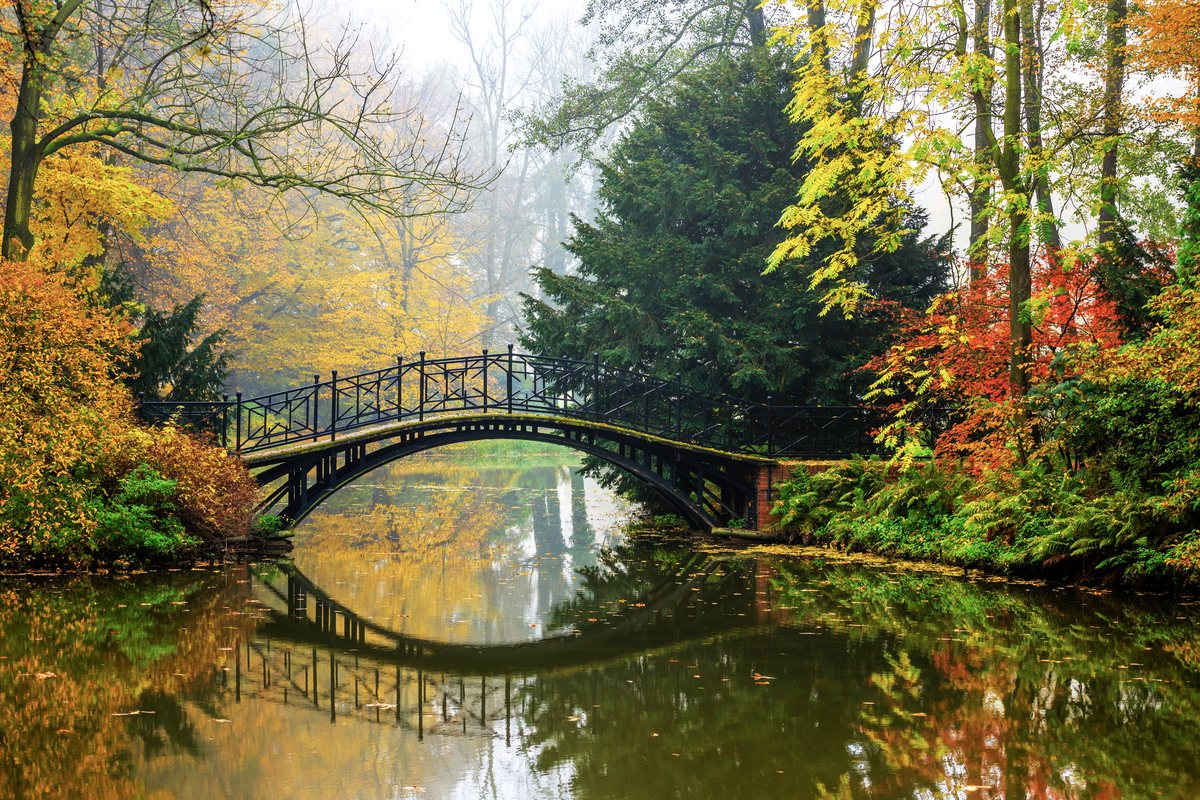 The same photo after a one-step tonal correction: deeper contrast, richer autumn color, less haze.