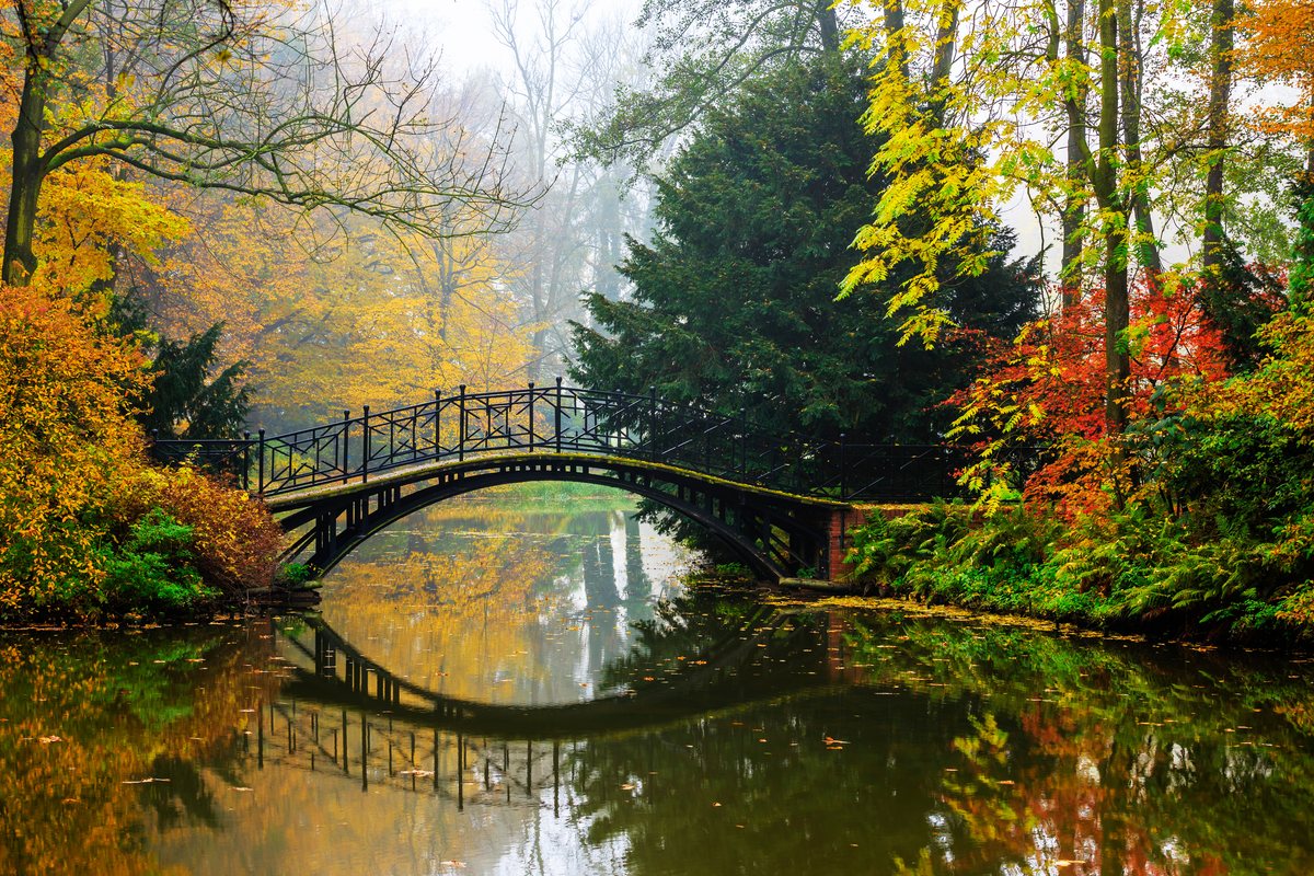 A flat, hazy misty-morning photo of an autumn footbridge, straight out of camera.