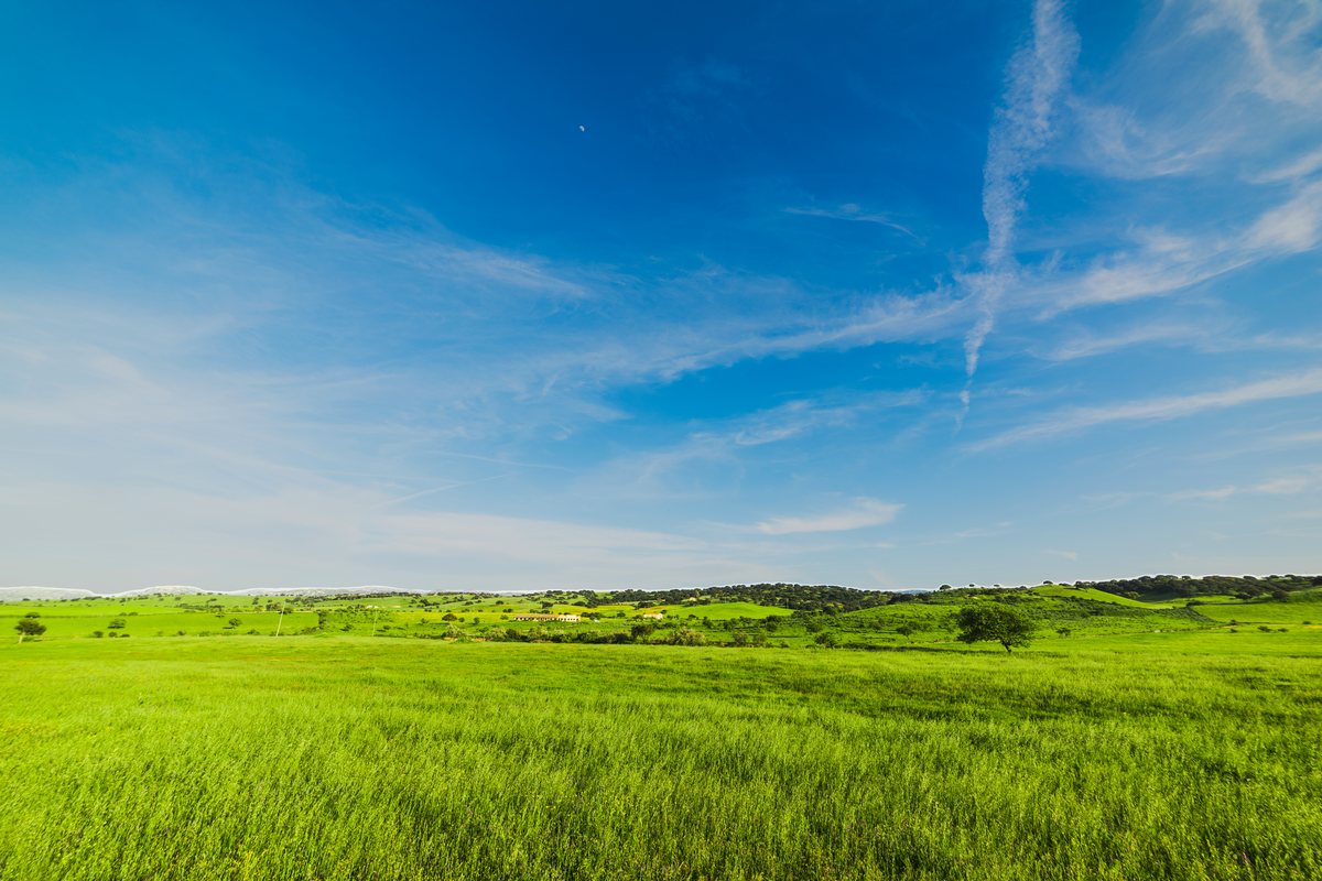 The same landscape with only the sky deepened and enriched; the green field is unchanged.