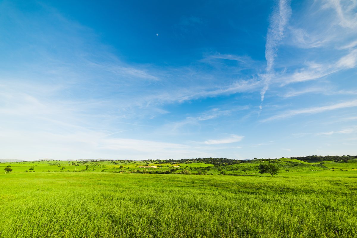 The same landscape straight from the camera, with a plain, washed-out bright sky.